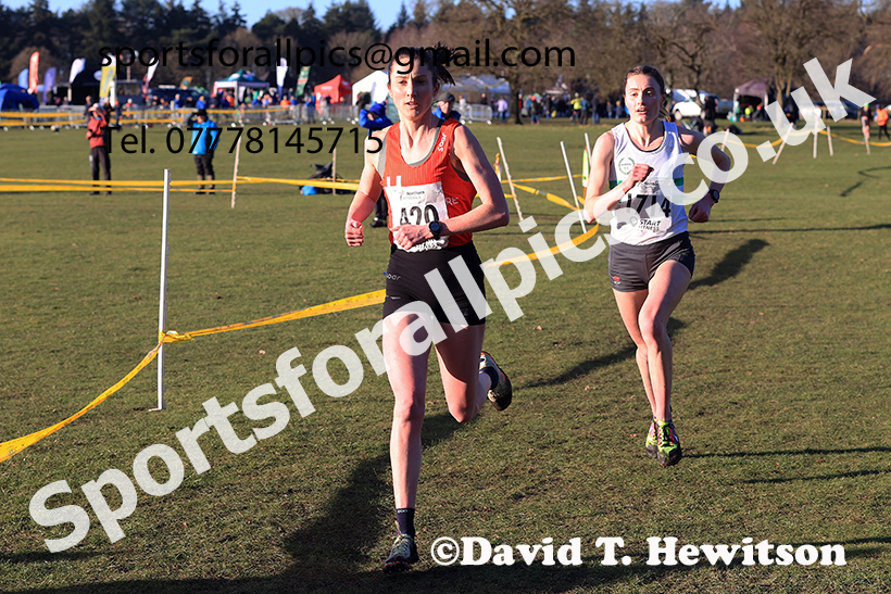 Senior womens 2025 Northern Cross Country Champs, Tatton Park, Knutsford, Cheshire. Photo: David T. Hewitson/Sports for All Pics